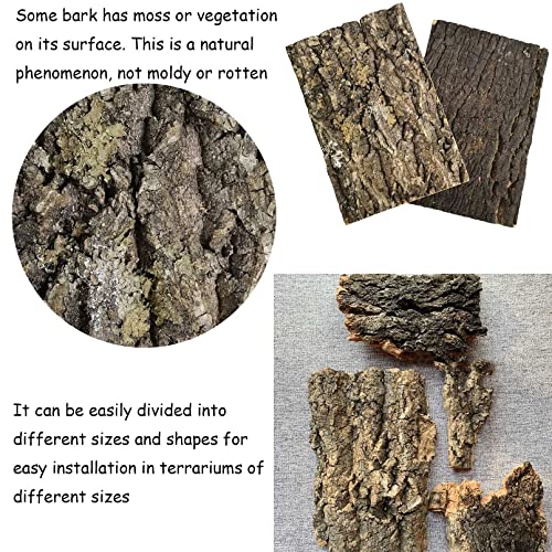 kathson Cork Tile Background Bark Terrarium Backdrop Wall Decor Natural Reptile Climbing Mat Habitat Decor for Spider Gecko Lizard Chameleon Bearded Dragon Turtle Snake