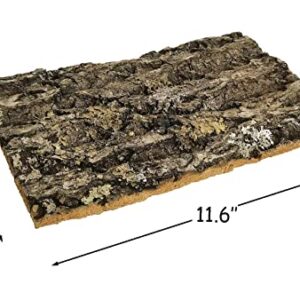 kathson Cork Tile Background Bark Terrarium Backdrop Wall Decor Natural Reptile Climbing Mat Habitat Decor for Spider Gecko Lizard Chameleon Bearded Dragon Turtle Snake