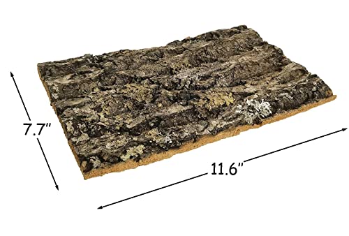 kathson Cork Tile Background Bark Terrarium Backdrop Wall Decor Natural Reptile Climbing Mat Habitat Decor for Spider Gecko Lizard Chameleon Bearded Dragon Turtle Snake