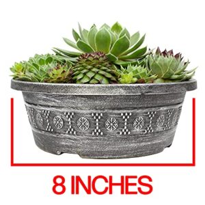 Live Sempervivum Planter Bowl, Sempervivum Succulents Plants, Hens and Chicks Succulent Plants, Sempervivum Plants Succulent Planter, Mini Succulents Plants Hens and Chicks Planter by Plants for Pets