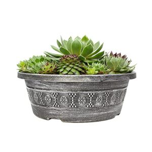 Live Sempervivum Planter Bowl, Sempervivum Succulents Plants, Hens and Chicks Succulent Plants, Sempervivum Plants Succulent Planter, Mini Succulents Plants Hens and Chicks Planter by Plants for Pets