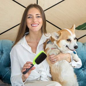 Rexipets Dog & Cat Brush & Comb Pet Grooming Set - Double Side (Small) - Ultimate Deshedding Tool - Lice And Flea Removing - Perfect Groomer's Tools - Strong Grip And Soft Bristles