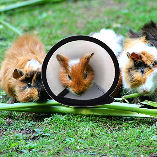 balacoo 2Pcs Small Pet Hamster Recovery Collar Soft Mini Elizabeth Circle Adjustable Neck Cone for Small Animals Rabbits Guinea- Pigs Hamster Hedgehog Birds