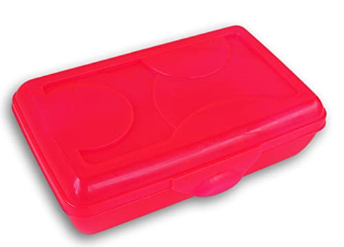 Snap-Closed Transparent Pencil Case Box for School (Neon Pink)