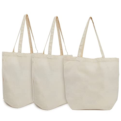 Reusable Canvas Grocery Bags, Non Woven Cloth Tote Bags with Handles for Shopping (16.5 x 19.5 In, 3 Pack)