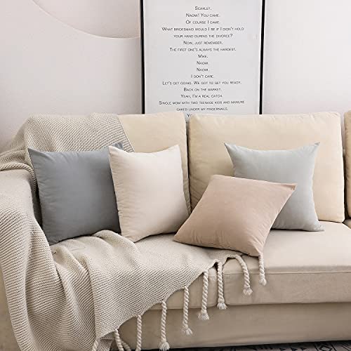 WEMEON Velvet Decorative Neutral Throw Pillows Covers 20x20inch Set of 4, Solid Color Soft Decorative Square Neutral Pillow Cover ，Home Neutral Decor for Sofa Bedroom Car Couch(Neutral, 4)