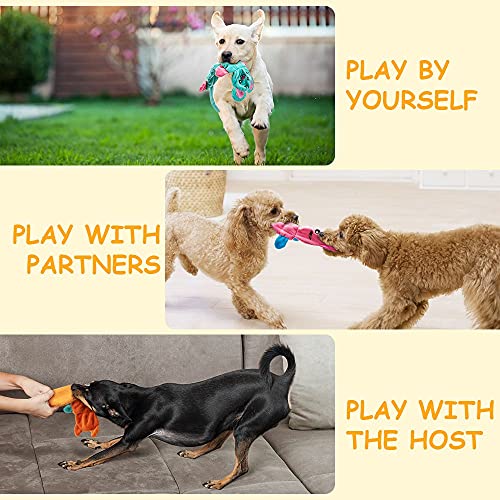 AWOOF No Stuffing Dog Toy, Crinkle Squeaky Dogs Teething Chew Toys Set for Small Medium Large Breed Puppies Aggressive Chewers,Durable Birthday Interactive Plaything Dogs Doggies Toys Bulk