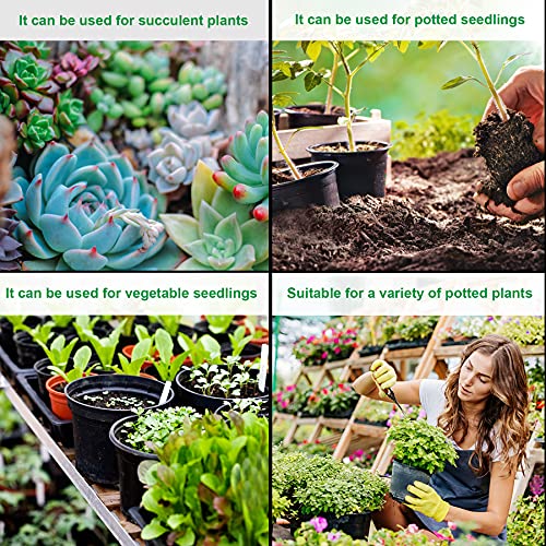 Augshy 40 Pcs 4" Black Plastic Plant Nursery Seed Starting Pots for Succulent Seedling Cutting Transplanting