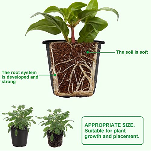 Augshy 40 Pcs 4" Black Plastic Plant Nursery Seed Starting Pots for Succulent Seedling Cutting Transplanting
