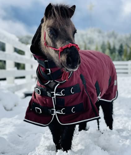 Mini-Pony 1200 D Waterproof Ripstop Blanket 350 Heavyweight Fill (46-48", Burgundy)