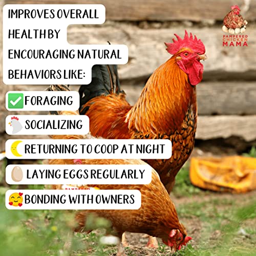 Pampered Chicken Mama Backyard Chicken Feed with Black Soldier Fly Larvae Grubs Soy Free & Herbs (10 Pounds) Non-GMO Layer Pellets: High Protein All-Natural Grower Feed Supplies for Laying Chickens