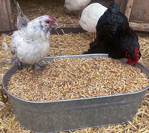 Pampered Chicken Mama Backyard Chicken Feed with Black Soldier Fly Larvae Grubs Soy Free & Herbs (10 Pounds) Non-GMO Layer Pellets: High Protein All-Natural Grower Feed Supplies for Laying Chickens