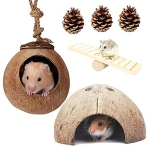 pinvnby coconut hut hamster hiding house hanging coconut shells pet cave hideout small animal cage habitat decor for gerbils rats mice dwarf syrian hamster playing & resting (6 pcs) 