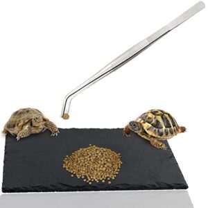 linifar turtle basking rock tortoise bathing plate reptile platform dish habitat accessories supplies for gekko bearded dragon squirrel hedgehog