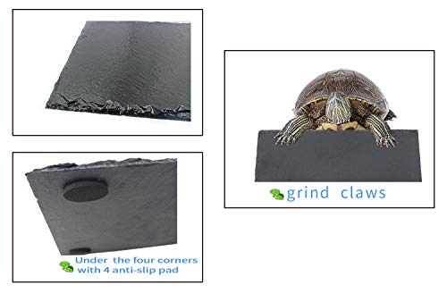 Linifar Turtle Basking Rock Tortoise Bathing Plate Reptile Platform Dish Habitat Accessories Supplies for Gekko Bearded Dragon Squirrel Hedgehog