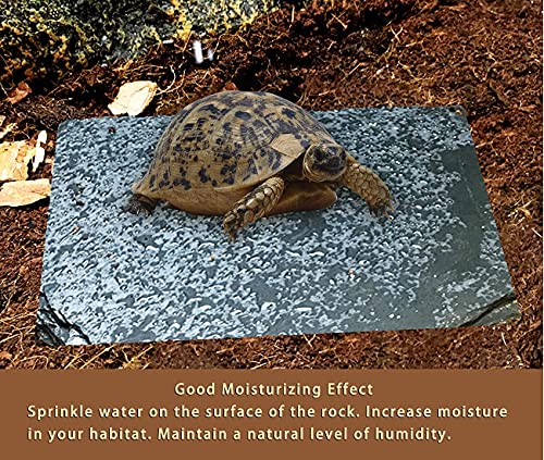 Linifar Turtle Basking Rock Tortoise Bathing Plate Reptile Platform Dish Habitat Accessories Supplies for Gekko Bearded Dragon Squirrel Hedgehog
