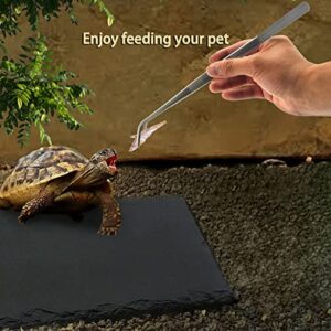 Linifar Turtle Basking Rock Tortoise Bathing Plate Reptile Platform Dish Habitat Accessories Supplies for Gekko Bearded Dragon Squirrel Hedgehog