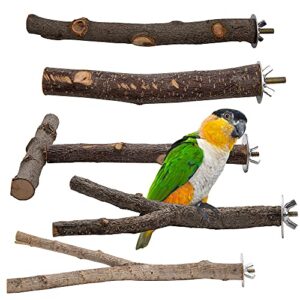 ebaokuup 5pcs natural wood bird perches for parrot - wooden bird parrot stand branches parakeet cage perch accessories for small birds budgies cockatiels conure lovebirds