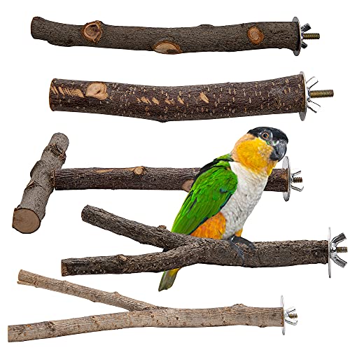 EBaokuup 5PCS Natural Wood Bird Perches for Parrot - Wooden Bird Parrot Stand Branches Parakeet Cage Perch Accessories for Small Birds Budgies Cockatiels Conure Lovebirds