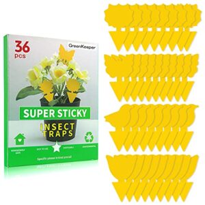 36 pcs sticky traps for fruit fly, whitefly, fungus gnat, mosquito and bug, yellow sticky insect catcher traps for indoor/outdoor/kitchen, extremely sticky fly trap, non-toxic, 4 shapes