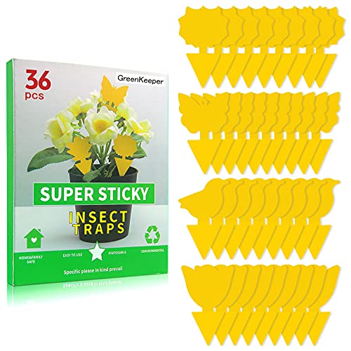 36 Pcs Sticky Traps for Fruit Fly, Whitefly, Fungus Gnat, Mosquito and Bug, Yellow Sticky Insect Catcher Traps for Indoor/Outdoor/Kitchen, Extremely Sticky Fly Trap, Non-Toxic, 4 Shapes