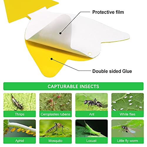 36 Pcs Sticky Traps for Fruit Fly, Whitefly, Fungus Gnat, Mosquito and Bug, Yellow Sticky Insect Catcher Traps for Indoor/Outdoor/Kitchen, Extremely Sticky Fly Trap, Non-Toxic, 4 Shapes