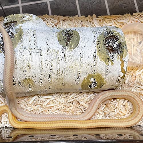 Aufeeky Reptile Hides and Caves, Reptile Hide Birch Tree Bark Trunk, Gecko Hides and Caves for Snake Leopard Gecko Ball Python Bearded Dragon Tortoise Turtle