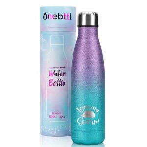 onebttl hedgehog gifts for women, girls, looking sharp water bottle for hedgehog lover, 17 oz (500ml) insulated stainless steel bottle, hedgehog gifts for girls, gift box included
