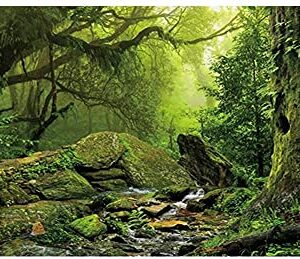 AWERT Tropical Forest Terrarium Background Stream Green Huge Tree Reptile Habitat Background Foggy Rainforest Aquarium Background 36x18 inches Durable Polyester Background