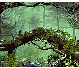 AWERT 72x18 inches Foggy Forest Terrarium Background Stone Green Tree Tropical Reptile Habitat Background Rainforest Aquarium Background Durable Polyester Background