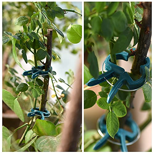 PERSZEN Plant Support Clips, 80 PCS Gentle Flower Plant Clamps for Supporting Vine Climbing Plants, Gardening Lever Loop Gripper Clips Help Stems Vines Grow Straight Upright, 2 Sizes in one Pack