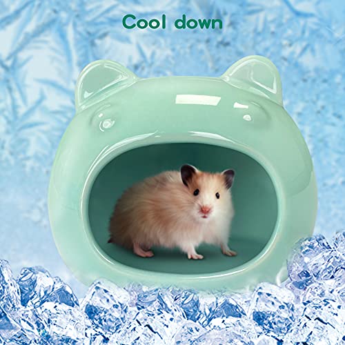 AmazeFun Small Pet Hideout Ceramic Adorable House Cozy Bed for Gerbils Hamsters Mice Mini Animals(Cyan)