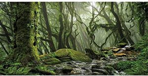 awert foggy forest terrarium background stream green huge tree reptile habitat background tropical rainforest aquarium background 36x18 inches durable polyester background