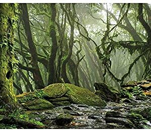 AWERT Foggy Forest Terrarium Background Stream Green Huge Tree Reptile Habitat Background Tropical Rainforest Aquarium Background 36x18 inches Durable Polyester Background