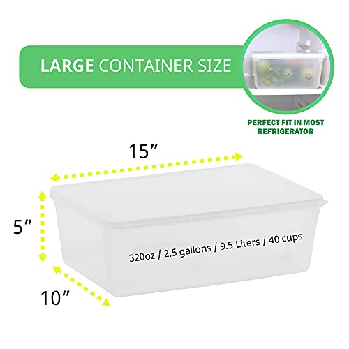 90% Chance of getting TWO for the price of ONE. 2.4 gal Produce Saver Containers for Refrigerator, Pizza Dough Proofing Box, Vegetable Storage Containers for Refrigerator, Pizza Storage Container, Marinating Container, Pizza Dough Box, Veggie Saver…
