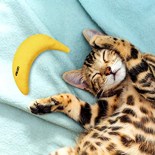 Sotiff 4 Pieces Catnip Toys Yellow Banana Cat Chew Catnip Toys Kitten Interactive Toy Reliable Catnip Filled Cat Toys for Indoor Cats Kittens Chewing Biting Grinding Claw