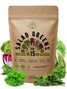 15 lettuce & salad greens seeds variety pack 7500+ non-gmo heirloom lettuce seeds for planting indoors & outdoors garden, hydroponics, aerogarden - arugula, kale, spinach, swiss chard, lettuce & more