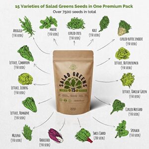 15 Lettuce & Salad Greens Seeds Variety Pack 7500+ Non-GMO Heirloom Lettuce Seeds for Planting Indoors & Outdoors Garden, Hydroponics, Aerogarden - Arugula, Kale, Spinach, Swiss Chard, Lettuce & More