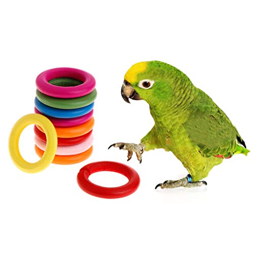 HELYZQ 10 Pcs/Set Wooden Ring Parrot Toys Bite Chew Play Natural Colorful Rings Decoration Birds Parakeet Toy DIY Accessories