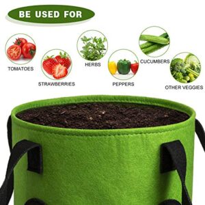 2 Pack Black and Green Upside Down Tomato & Herb Planter, Hanging Durable Aeration Fabric Strawberry Planter Bags