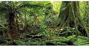 awert 24x12 inches forest terrarium background stone green huge tree reptile habitat background tropical rainforest aquarium background durable polyester background