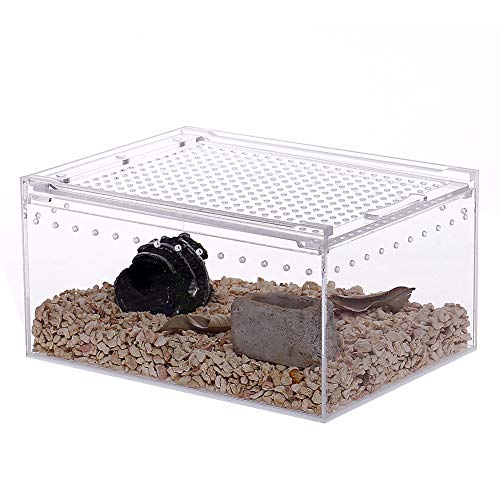 NANEEZOO Magnetic Acrylic Reptile Case - 8"x6"x4" Flat Long Enclosure Transparent Reptile Breeding Box Terrarium Cage - for Tarantula Scorpion Sling Isopods Invertebrates & Insect Mantis