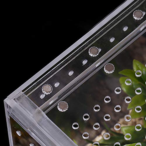 NANEEZOO Magnetic Acrylic Reptile Case - 8"x6"x4" Flat Long Enclosure Transparent Reptile Breeding Box Terrarium Cage - for Tarantula Scorpion Sling Isopods Invertebrates & Insect Mantis