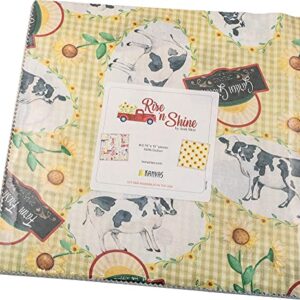 Andi Metz Rise 'n Shine 10X10 Pack 42 10-inch Squares Layer Cake Benartex