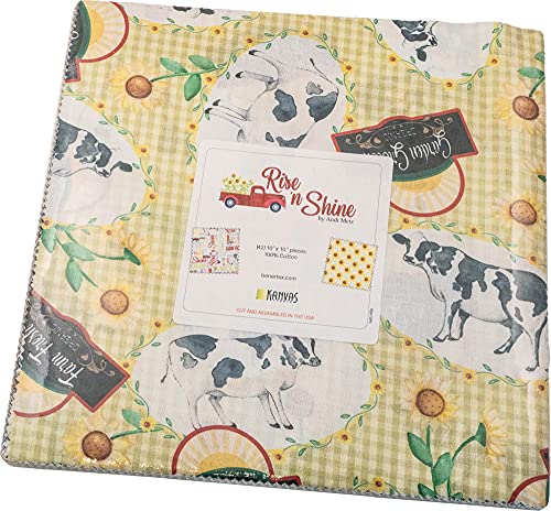 Andi Metz Rise 'n Shine 10X10 Pack 42 10-inch Squares Layer Cake Benartex