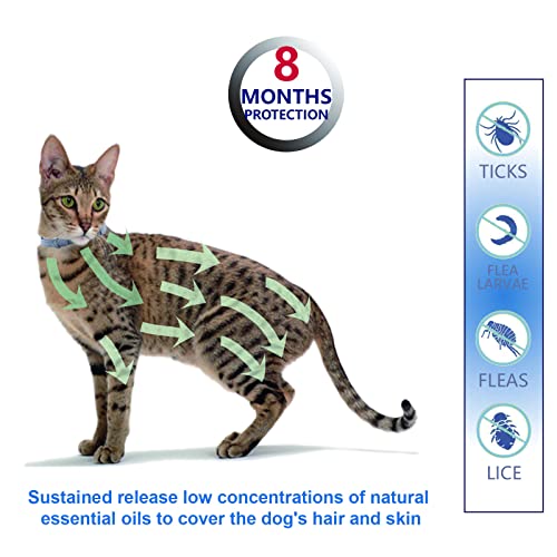 Natural & Safe Flea and Tick Collar for Cats, 2 * 8 Months Protection, Free Comb and Tick Removal Tool, Waterproof, 13.8 inch, One Size Fits All (2-Pack)