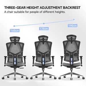 SIHOO Ergonomic Office Chair - High Back Desk Chair with Lumbar Support, 3D Armrest and Adjustable Height Backrest - Thick Seat Cushion Breathable Mesh Computer Chair (Gray)