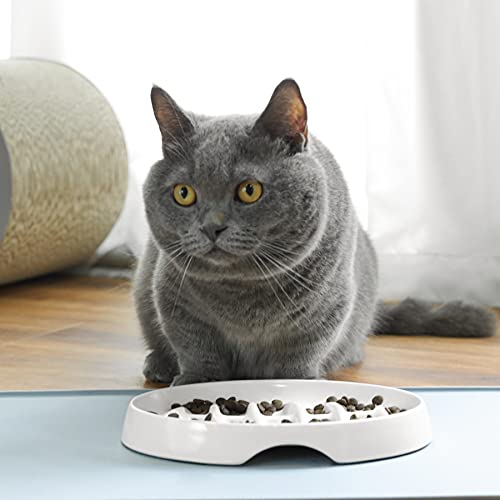 MSBC Slow Feeder Bowl, Fishbone Cat Dish for Cats and Puppies, Anti-Gulping Interactive Slow Feeder Cat Food Bowl, Non-Slip Puzzle Pet Bowl for Slow Eating, Melamine Bowl Preventing Choking White