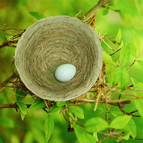 balacoo 2pcs Handwoven Pigeon Birds Nest Natural Straw Woven Incubation Bed Courtship Breeding House for Pigeon Budgie Parakeet Cockatiel