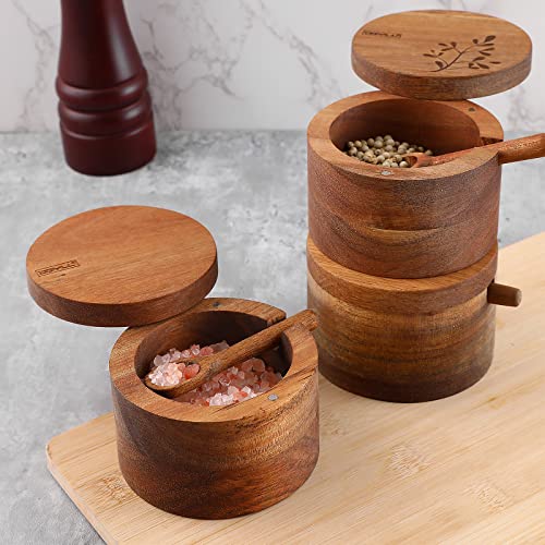 DGYLL Salt bowl, Acacia wood salt cellar with lid and spoon, salt box with swiveling lid, salt container with lid,6oz